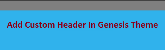 add custom header in genesis