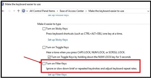 turn on filer keys to fix fn key not working