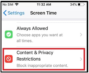 Content & Privacy Restrictions section